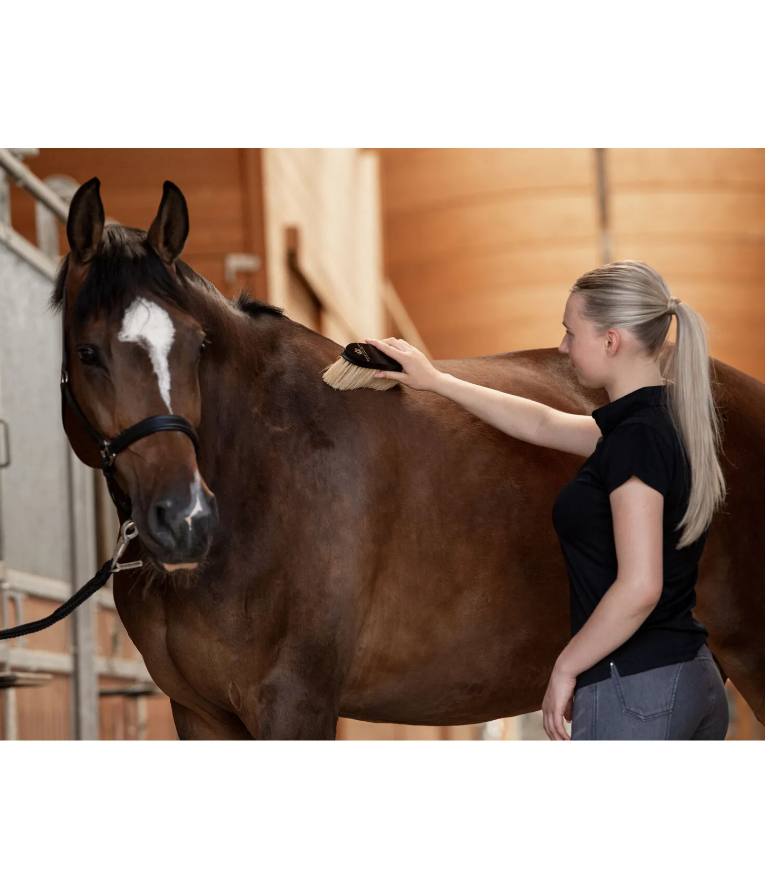 Outlet Brosse anti-poussière Matériel De Pansage