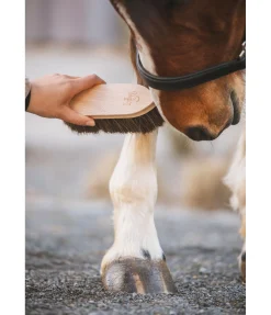 Brosse anti-poussière Flora Matériel De Pansage