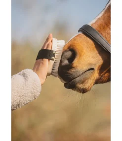 Hot Brosse extra-douce Flora Matériel De Pansage