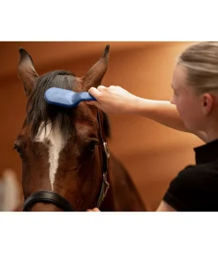 Best Brosse pour crins Soft Produits De Soin|Matériel De Pansage