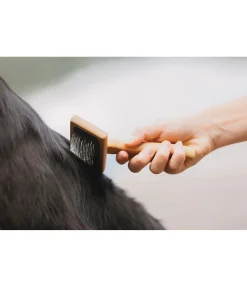 Outlet Carde pour chien Woody Entretien De La Fourrure Pour Chien