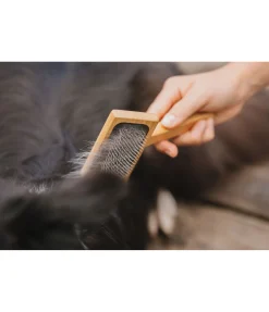 Outlet Carde pour chien Woody Entretien De La Fourrure Pour Chien