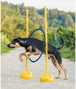 Discount Cerceaux d'agility Agility