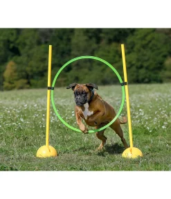 Discount Cerceaux d'agility Agility