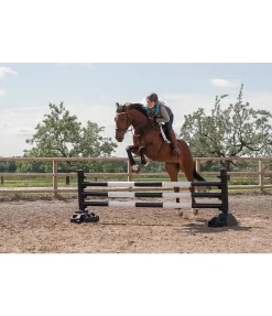 Online Chandelier Equipement De Carrière & Manège