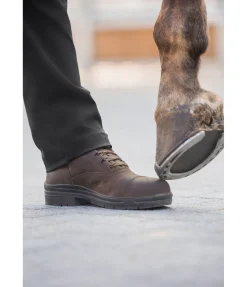 Discount Chaussures d'écurie ou de travail à coque acier Adventure Boots D'Écurie