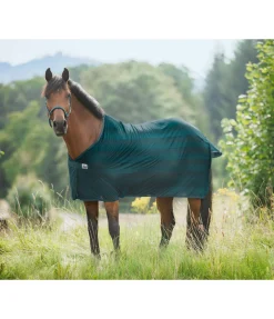 Online Chemise anti-mouches Economy Light Chemises Anti-Mouches|Couvertures Anti-Mouches