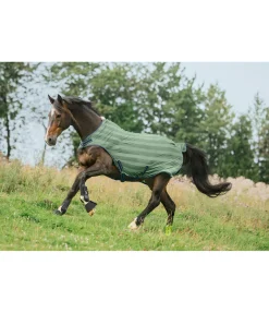 Chemise de marcheur anti-mouches Economy Light Chemises Anti-Mouches|Couvertures Anti-Mouches