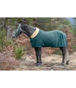 Clearance Chemise séchante technique Sparkling II Couvertures Séchantes