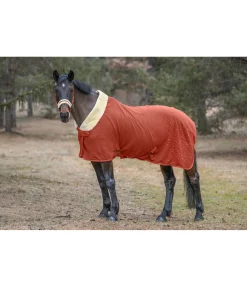 Online Chemise séchante technique Sparkling II Couvertures Séchantes