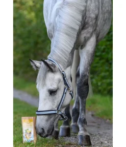 New Chips de banane Friandises & Récompenses