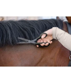 Sale Ciseaux à crins Professional Matériel De Pansage