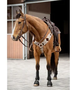 Discount Cloches Pro Cloches & Protèges-Glomes