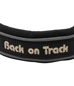 Online Collier anti-traction pour chien Charlie Harnais & Colliers Pour Chien