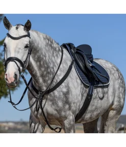 Sale Collier de chasse en cuir gras Elastic Professional Colliers De Chasse & Martingales