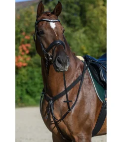 Sale Collier de chasse en cuir gras Elastic Professional Colliers De Chasse & Martingales