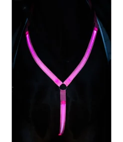 New Collier de chasse LED Loom Colliers De Chasse & Martingales