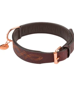 Online Collier en cuir pour chien Livorno Harnais & Colliers Pour Chien