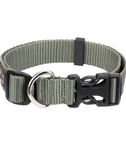Discount Collier pour chien Champ Harnais & Colliers Pour Chien