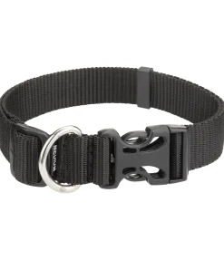 Clearance Collier pour chien Champ Harnais & Colliers Pour Chien
