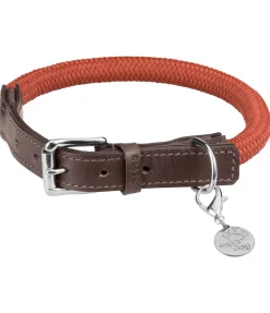 Clearance Collier pour chien Rope Harnais & Colliers Pour Chien
