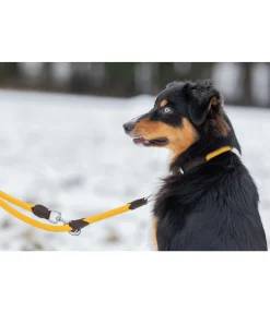 Clearance Collier pour chien Rope Harnais & Colliers Pour Chien