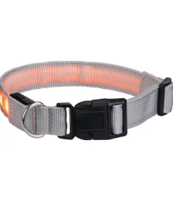 Online Collier pour chien LED Loom Harnais & Colliers Pour Chien|Matériel Réflechissant Pour Chiens
