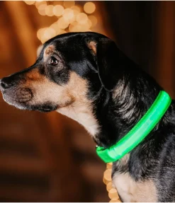 Best Collier pour chien LED Loom Harnais & Colliers Pour Chien