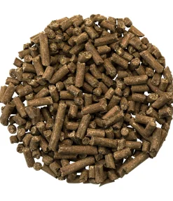 Best Complément premium musculature Aliments Complémentaires