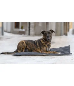 Hot Coussin thermique pour chien Ceramic Rehab Couchages Pour Chien