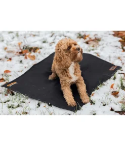 Hot Coussin thermique pour chien Ceramic Rehab Couchages Pour Chien