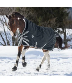 Online Couverture d'extérieur Highneck Paddock Reflective, 100 g Couvertures Imperméables & D'Hiver