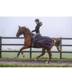 Couvre-reins polaire Activity Couvre-Reins & Couvertures De Marcheur