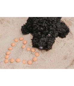 Discount Craquelins d'agneau cuits au four Articles À Mâcher & Friandises Pour Chien