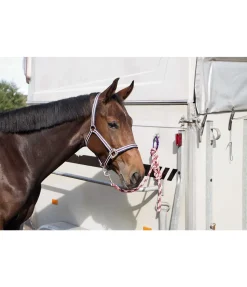 Online Crochet de sécurité Equi-Ping Accessoires Pour Vans|Rangements & Supports