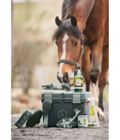 Online Cure-pied Matériel De Pansage