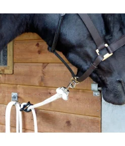 Discount Dispositif d'attache Longes|Licols De Sécurité
