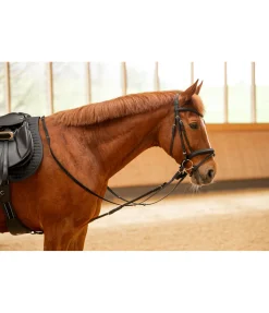 Best Enrênement Enrênements