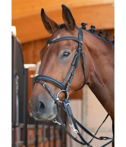 Enrênement Thiedemann Enrênements|Colliers De Chasse & Martingales