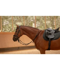 Enrênement Thiedemann Enrênements|Colliers De Chasse & Martingales