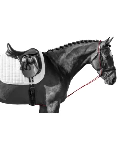 Enrênement long éducatif Enrênements