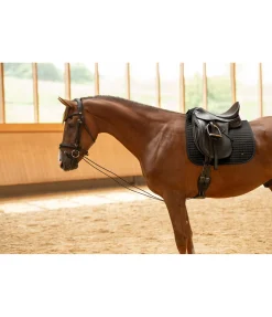 Enrênement long éducatif Enrênements