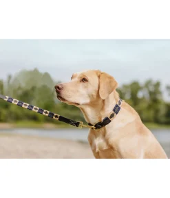 Best Ensemble collier et laisse en cuir pour chien Polo Sports Laisses Pour Chien|Harnais & Colliers Pour Chien