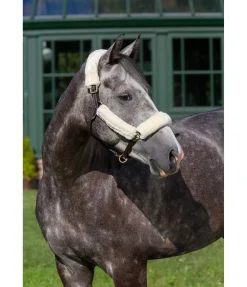 Clearance Ensemble de protections en polaire Teddy pour licol - 4 éléments Fourrure D'Agneau|Accessoires De Briderie