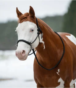 Sale Ensemble licol à noeuds All-in-One Licols À Noeuds