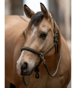 Best Ensemble licol à noeuds All-in-One Licols À Noeuds