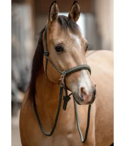 Best Ensemble licol à noeuds All-in-One Licols À Noeuds