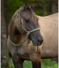 Best Ensemble licol à noeuds All-in-One Licols À Noeuds