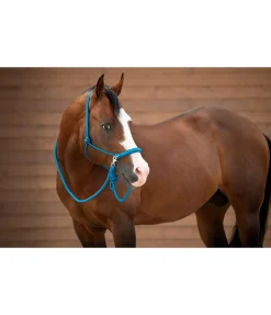 Ensemble licol à noeuds All-in-One Licols À Noeuds