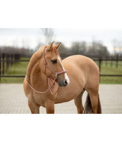 Online Ensemble licol à noeuds All-in-One Licols À Noeuds